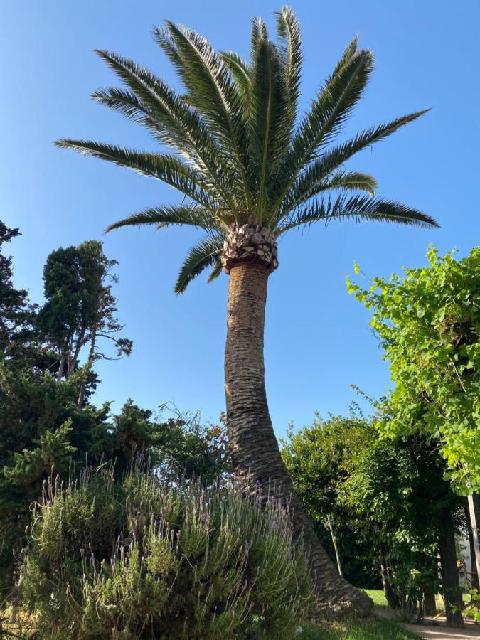Herberg Banti Garden